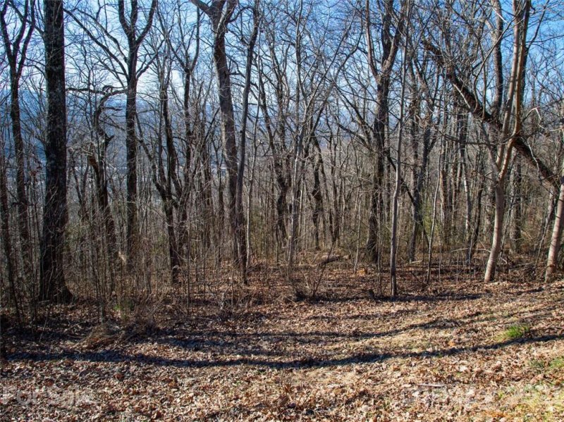 Property image 3 at 138 Old Forest Drive, Asheville, NC 28803