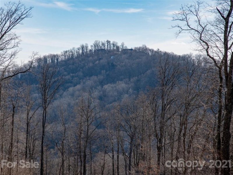 Property image 4 at 138 Old Forest Drive, Asheville, NC 28803