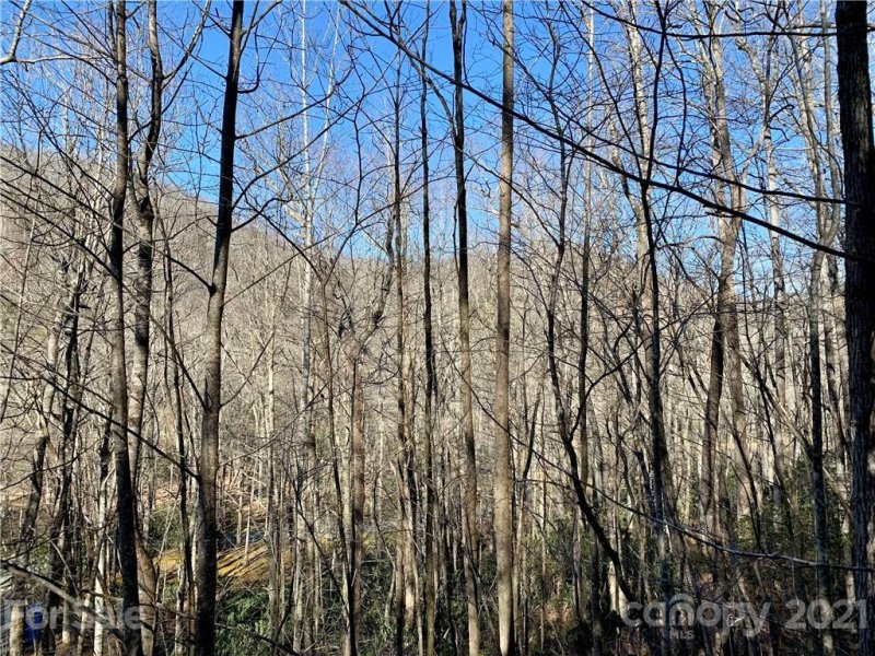 Property image 3 at 00 Golden Trout Drive, Spruce Pine, NC 28777