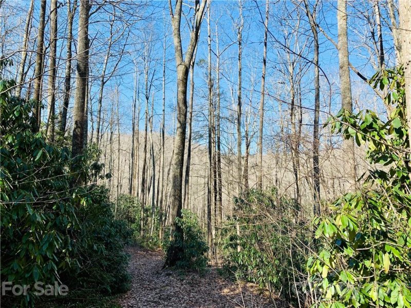 Property image 4 at 00 Golden Trout Drive, Spruce Pine, NC 28777