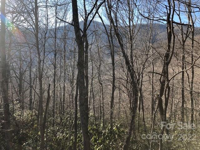 Property image 4 of 99999 Winding Poplar Road in Laurel Ridge, Black Mountain, NC 28711
