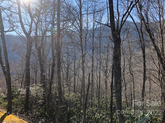 Property image 5 of 99999 Winding Poplar Road in Laurel Ridge, Black Mountain, NC 28711