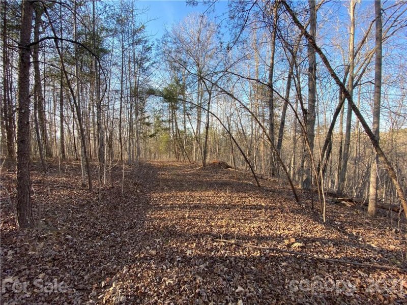 Property image 2 at 00 Millcreek Way, Rutherfordton, NC 28139