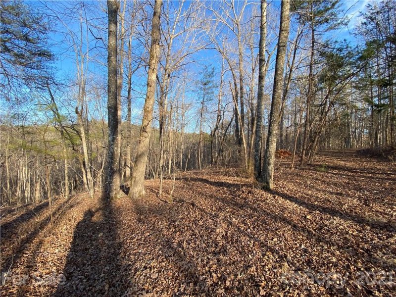 Property image 4 at 00 Millcreek Way, Rutherfordton, NC 28139