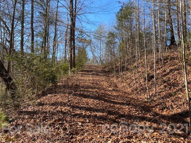 Property image 2 at 0000 Woodfen Lane, Lake Lure, NC 28746