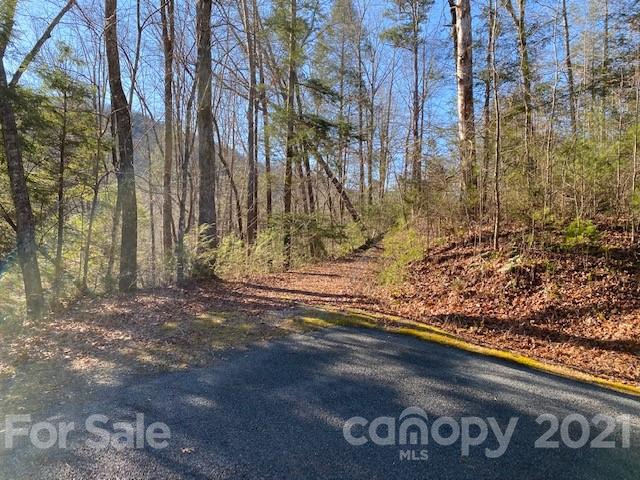 Property image 3 at 0000 Woodfen Lane, Lake Lure, NC 28746