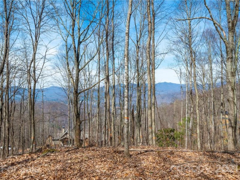 Property image 2 at 1016 Moss Creek Lane, Swannanoa, NC 28778