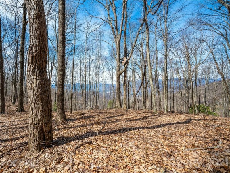 Property image 3 at 1016 Moss Creek Lane, Swannanoa, NC 28778