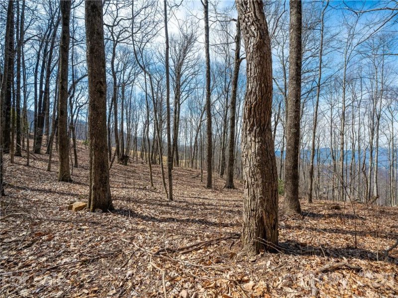 Property image 4 at 1016 Moss Creek Lane, Swannanoa, NC 28778