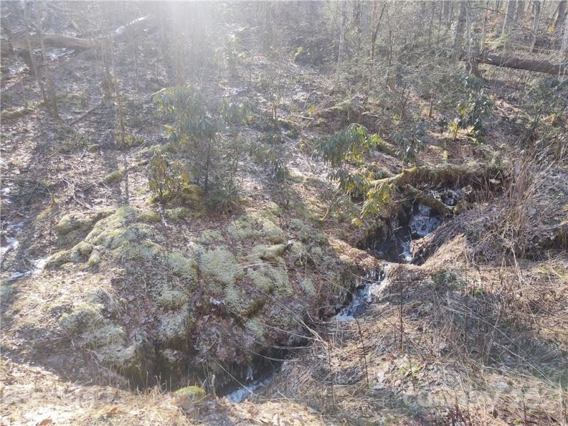 Property image 3 at 00 Teaberry Ridge Road, Waynesville, NC 28785