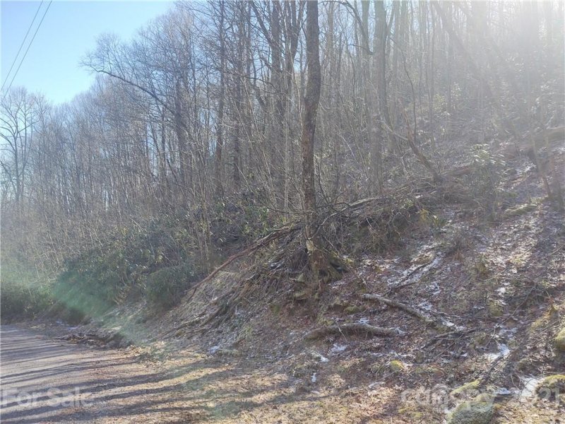Property image 4 at 00 Teaberry Ridge Road, Waynesville, NC 28785