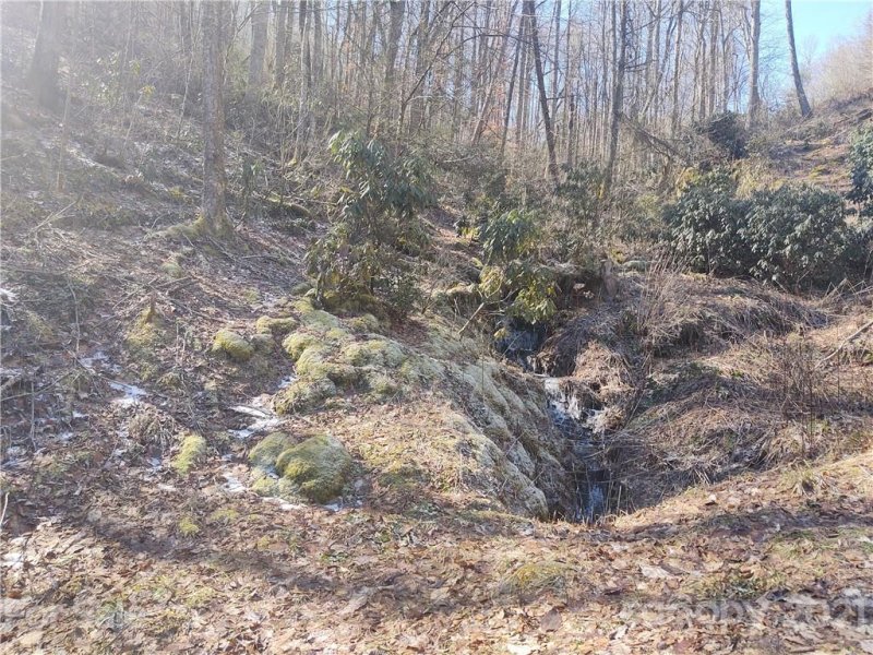 Property image 5 at 00 Teaberry Ridge Road, Waynesville, NC 28785