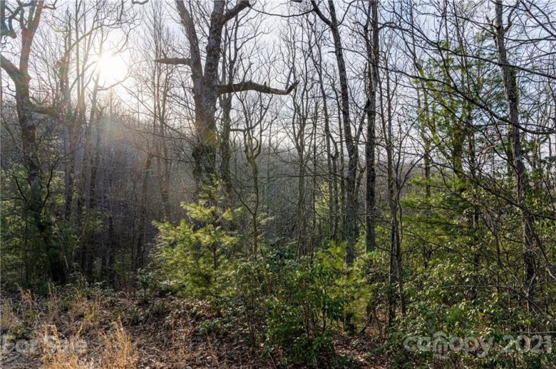 Property image 2 at 298 299 Shoal Creek Road, Zirconia, NC 28739