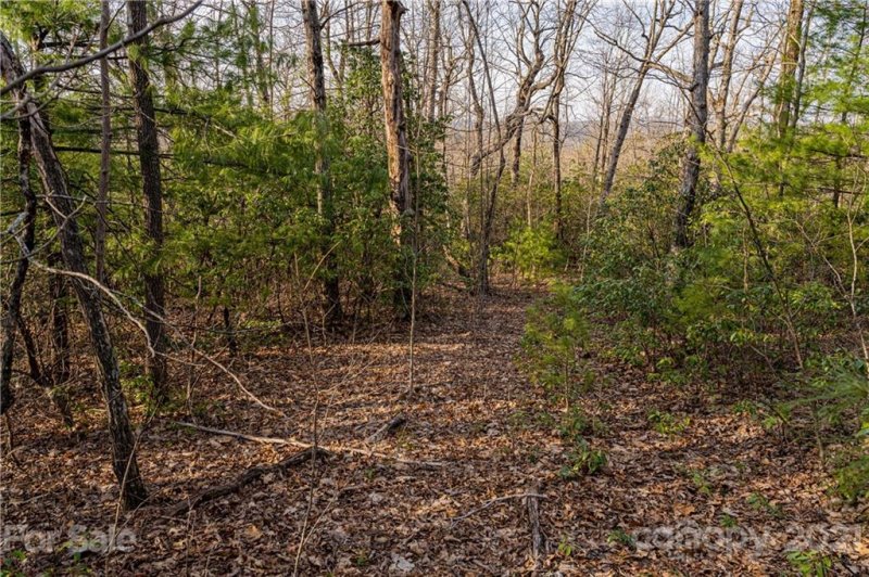 Property image 3 at 298 299 Shoal Creek Road, Zirconia, NC 28739