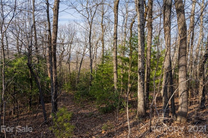 Property image 4 at 298 299 Shoal Creek Road, Zirconia, NC 28739