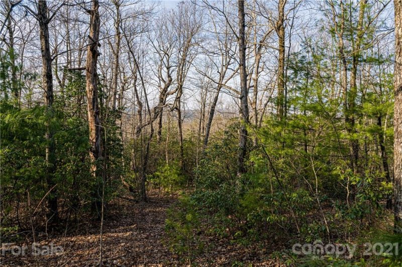 Property image 5 at 298 299 Shoal Creek Road, Zirconia, NC 28739