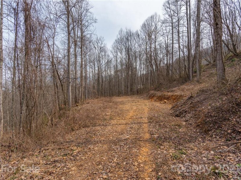 Property image 3 at 163 Echo Drive, Waynesville, NC 28786
