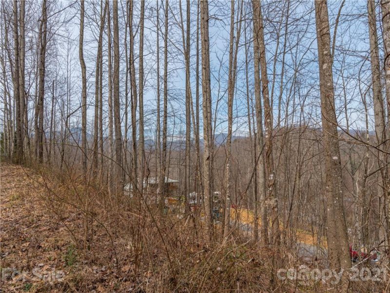 Property image 4 at 163 Echo Drive, Waynesville, NC 28786