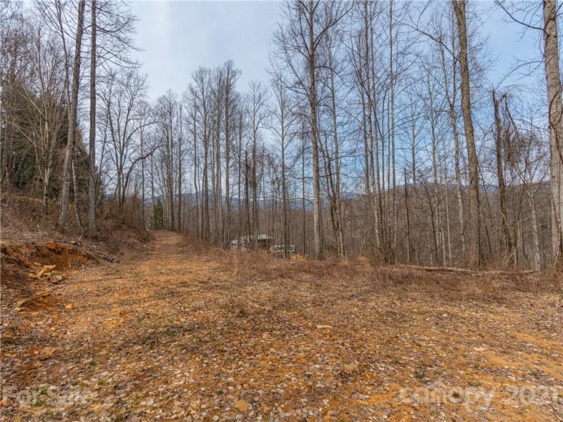 Property image 5 at 163 Echo Drive, Waynesville, NC 28786