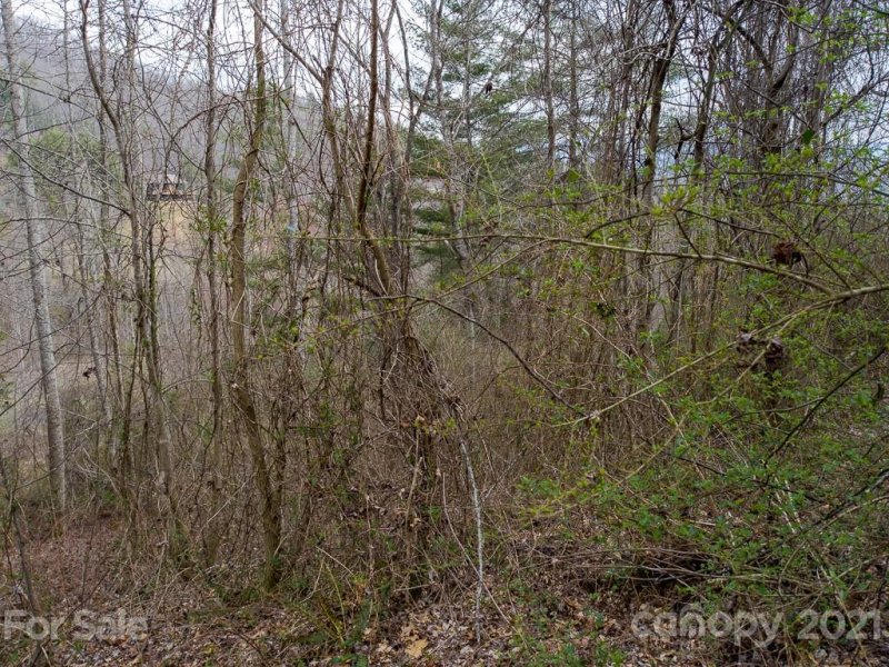 Property image 4 at Lot 92 S Country Club Drive, Cullowhee, NC 28723