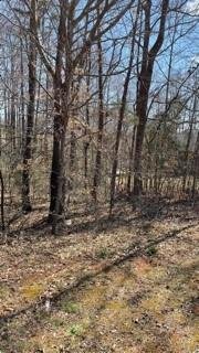 Property image 2 at 4907 Gateway Drive, Claremont, NC 28610