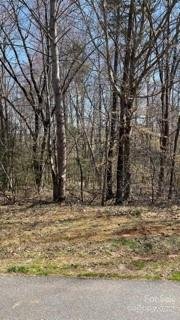 Property image 3 at 4907 Gateway Drive, Claremont, NC 28610