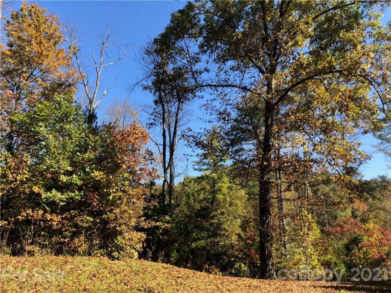 000 Laurel Heights Road