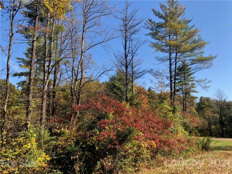 Property image 2 at 000 Laurel Heights Road, Marshall, NC 28753