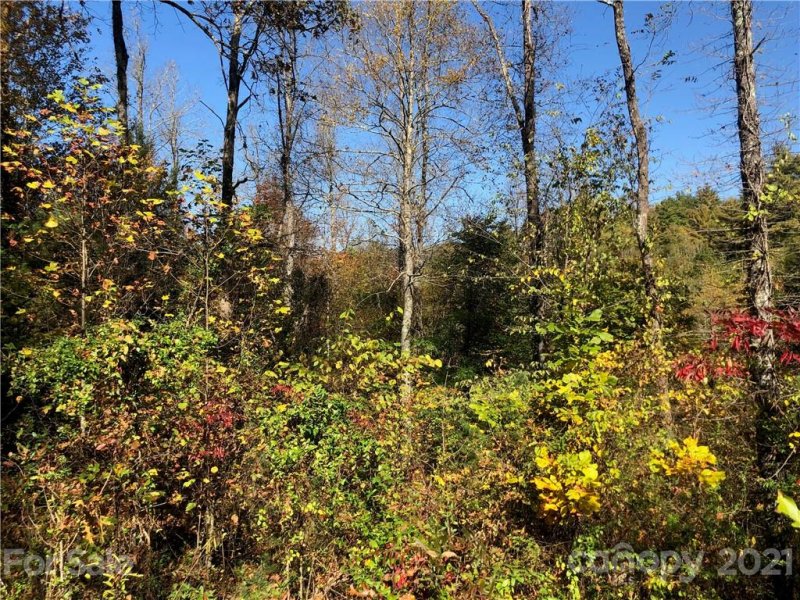 Property image 3 at 000 Laurel Heights Road, Marshall, NC 28753