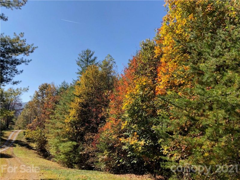 Property image 4 at 000 Laurel Heights Road, Marshall, NC 28753