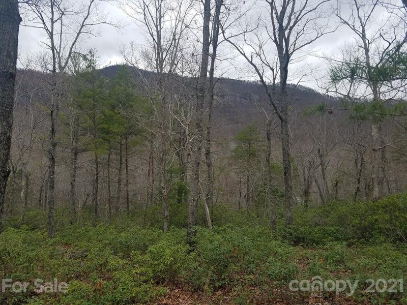 Property image 3 at 3 E Garden Lane, Lake Lure, NC 28746