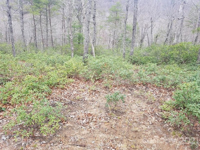 Property image 4 at 3 E Garden Lane, Lake Lure, NC 28746