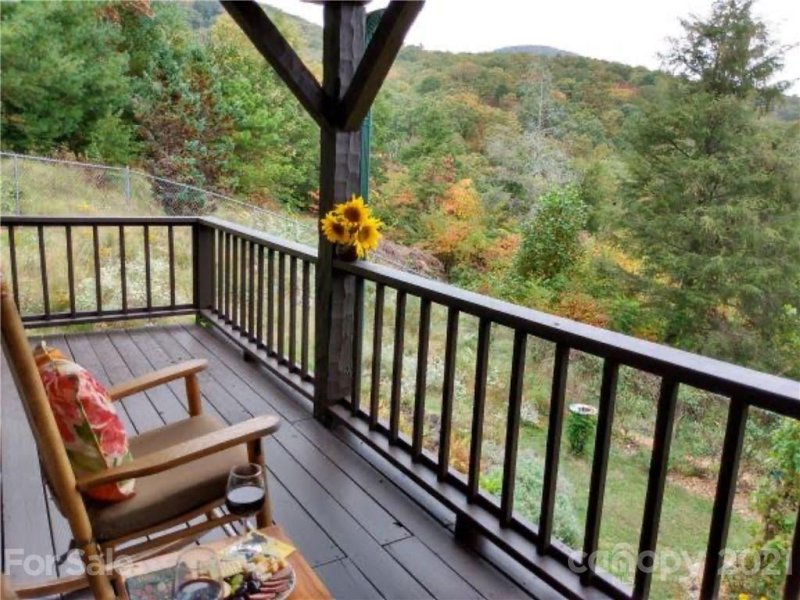 Property image 3 at 169 Laurel Creek Drive, Hendersonville, NC 28792