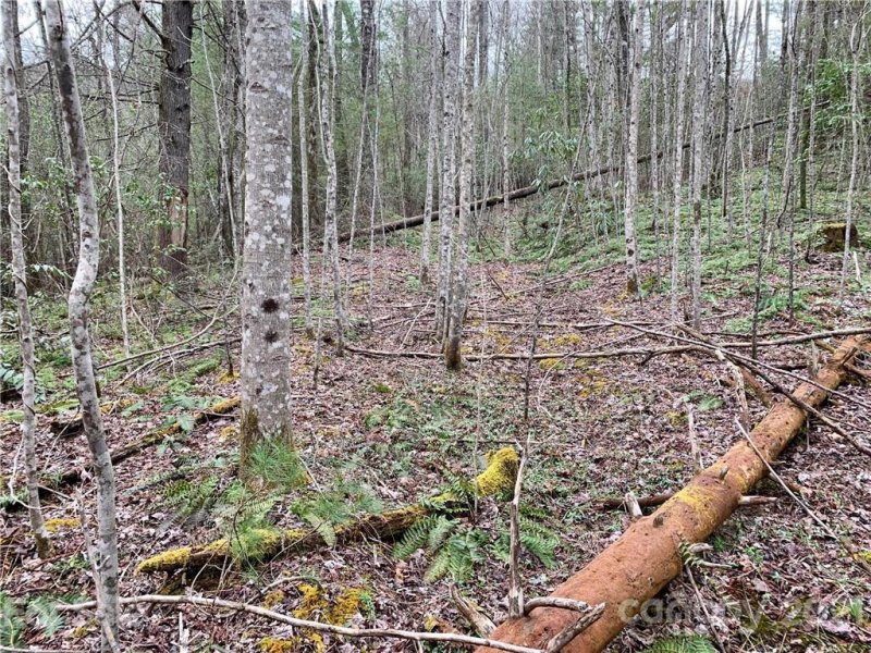 Property image 3 at Lot 65 Peppervine Circle, Rosman, NC 28772