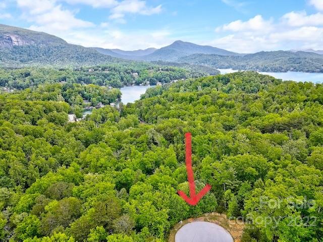 Property image 2 at 00 Clear Creek Trail, Lake Lure, NC 28746