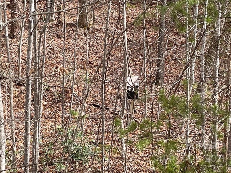 Property image 2 at Lot 61 Bridgewater Drive, Marion, NC 28752