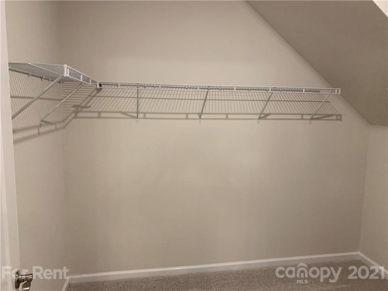 Property image 5 at 14236 Southbridge Forest Drive, Charlotte, NC 28273