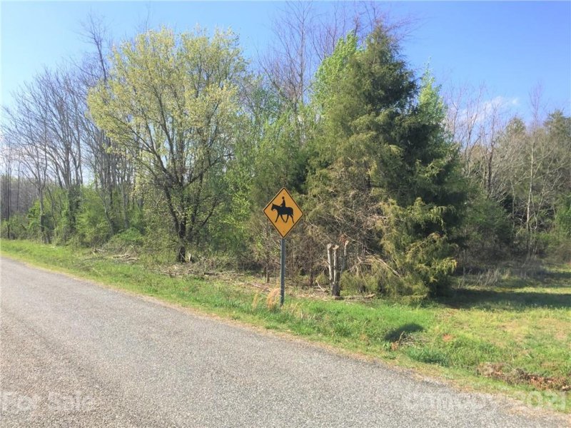 Property image 3 at 00 Scoggins Road, Rutherfordton, NC 28139
