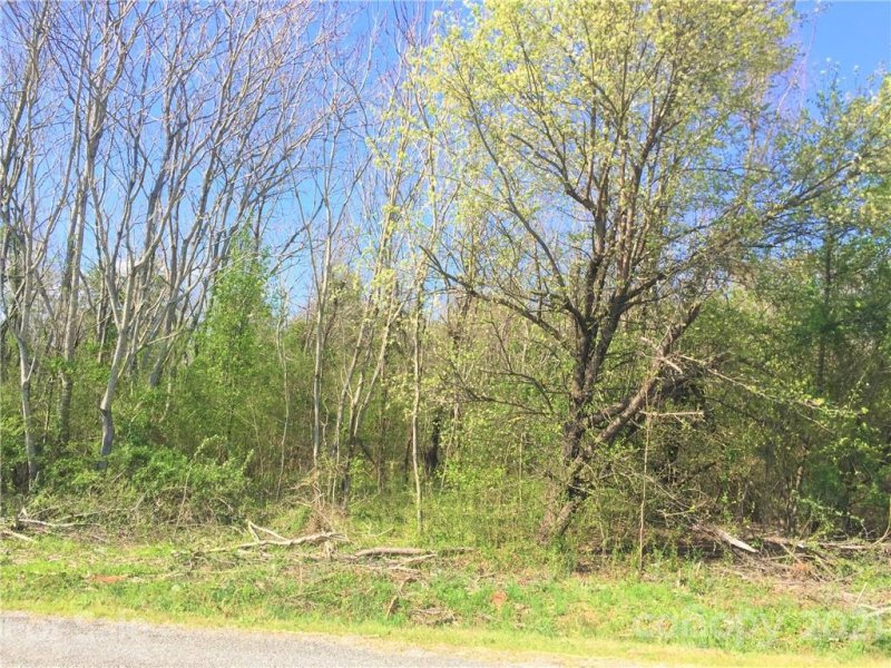Property image 5 at 00 Scoggins Road, Rutherfordton, NC 28139
