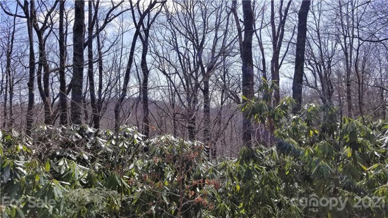 Property image 4 at 6219 Sunny Drive, Newland, NC 28657