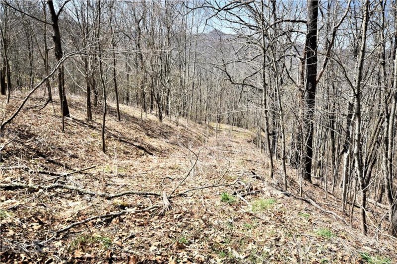 Property image 5 at 0000 Ironwood Ridge, Waynesville, NC 28785