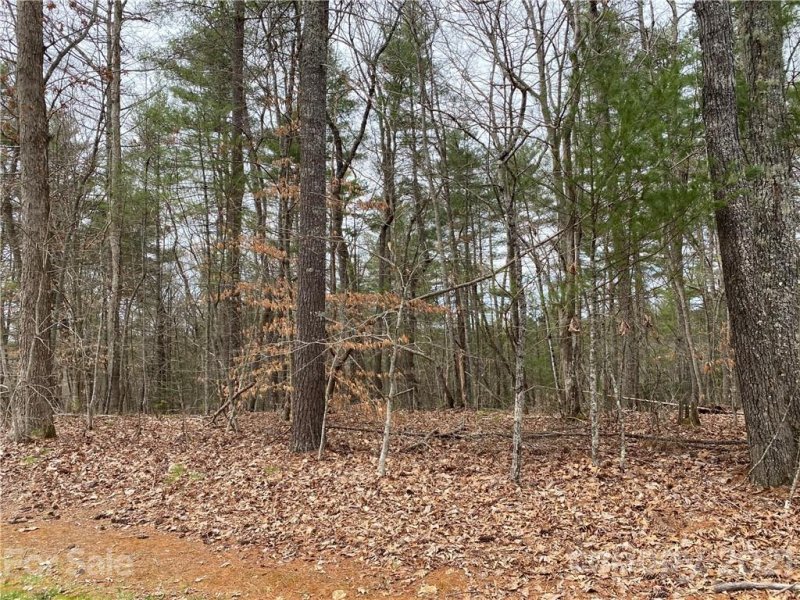 Property image 2 at Lot 21 Settlers Trail, Mars Hill, NC 28754