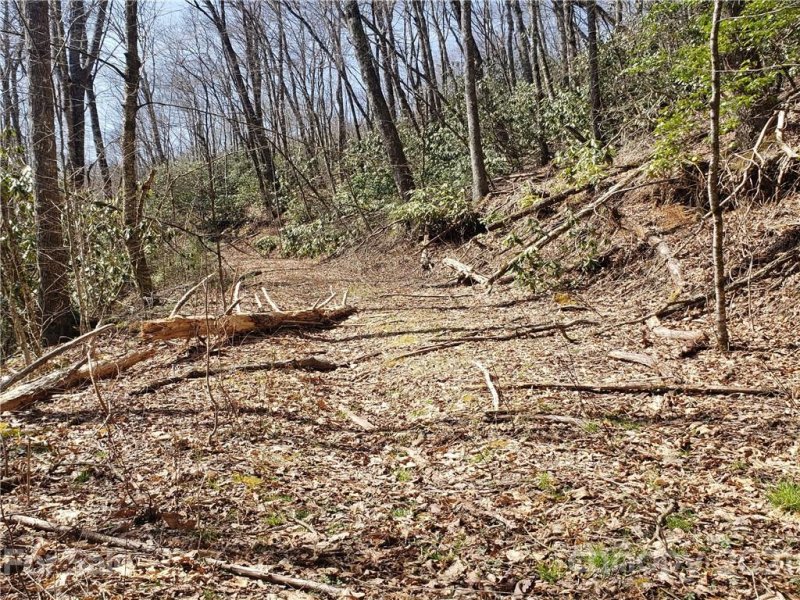 Property image 2 at 0000 Parris Branch Road, Sylva, NC 28779