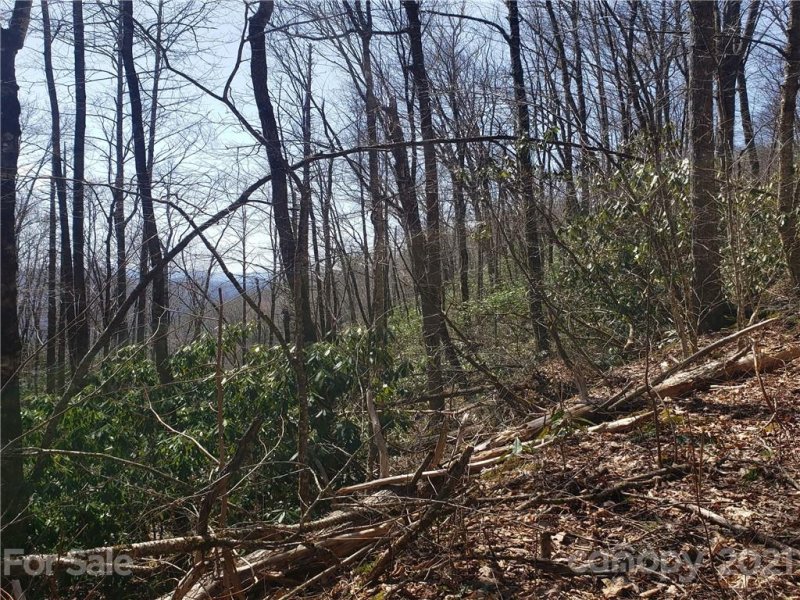 Property image 3 at 0000 Parris Branch Road, Sylva, NC 28779