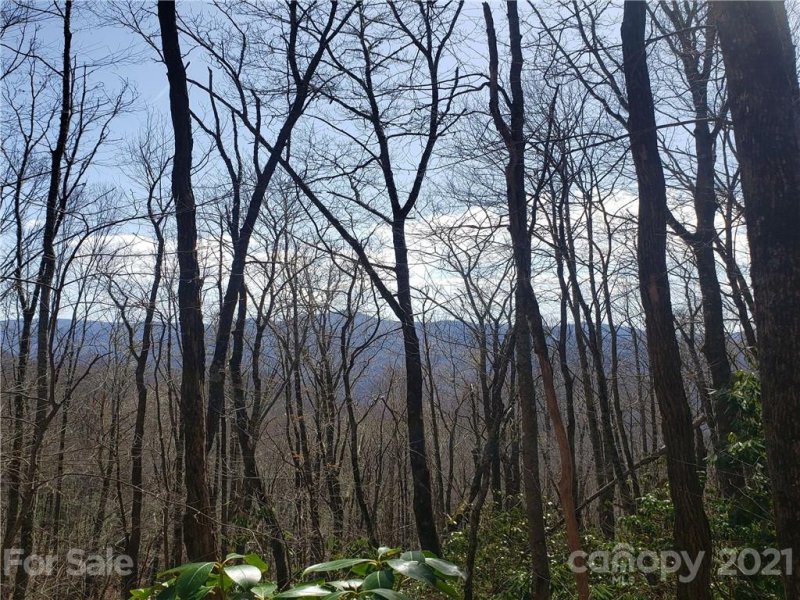 Property image 4 at 0000 Parris Branch Road, Sylva, NC 28779