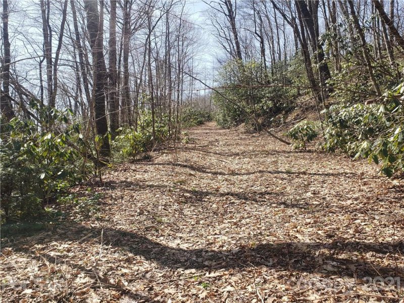 Property image 5 at 0000 Parris Branch Road, Sylva, NC 28779