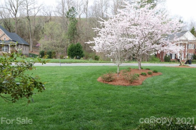 Property image 3 at 9900 Julliard Drive, Mint Hill, NC 28227