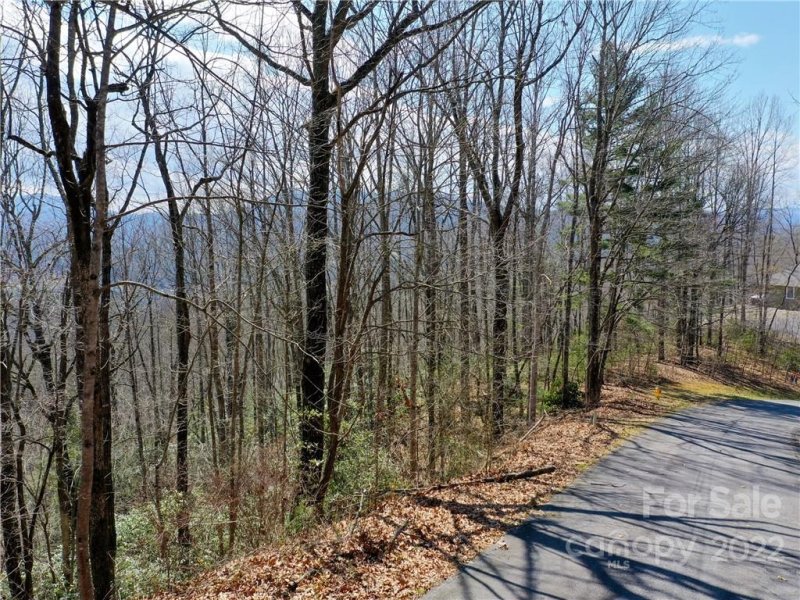 Property image 2 at 168 Rambling Trail, Hendersonville, NC 28739