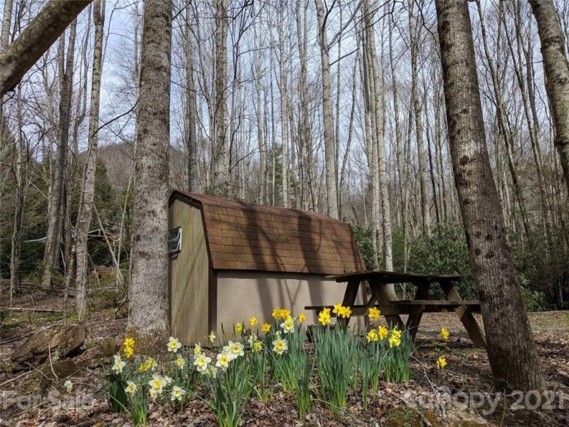 Property image 2 at 0000 Quail Cove Road, Clyde, NC 28721