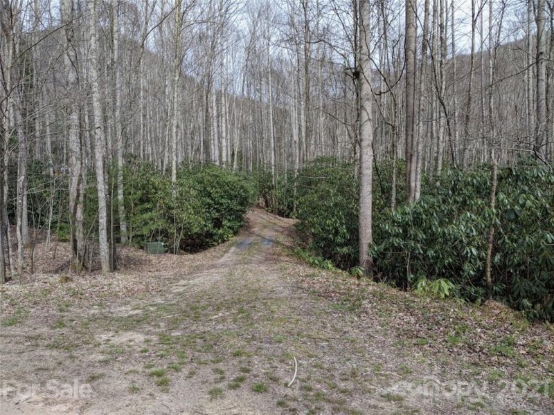 Property image 5 at 0000 Quail Cove Road, Clyde, NC 28721